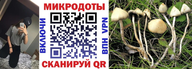 Псилоцибиновые грибы ЛСД  Надым 