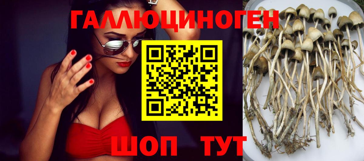 Псилоцибиновые грибы мухоморы Надым