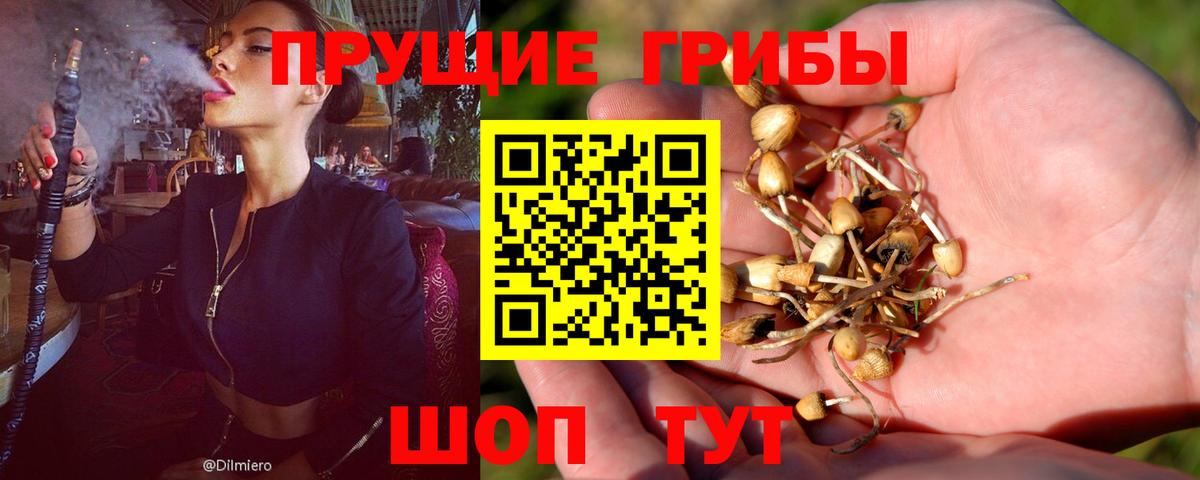 Галлюциногенные грибы Cubensis  купить  сайты  Надым  Вход с VPN 